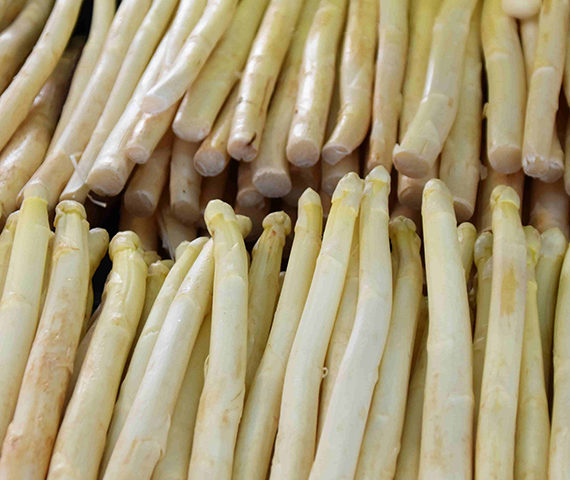 Erntehelfer von ucm.agency